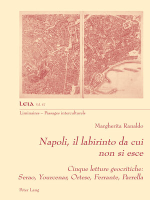 cover image of Napoli, il labirinto da cui non si esce